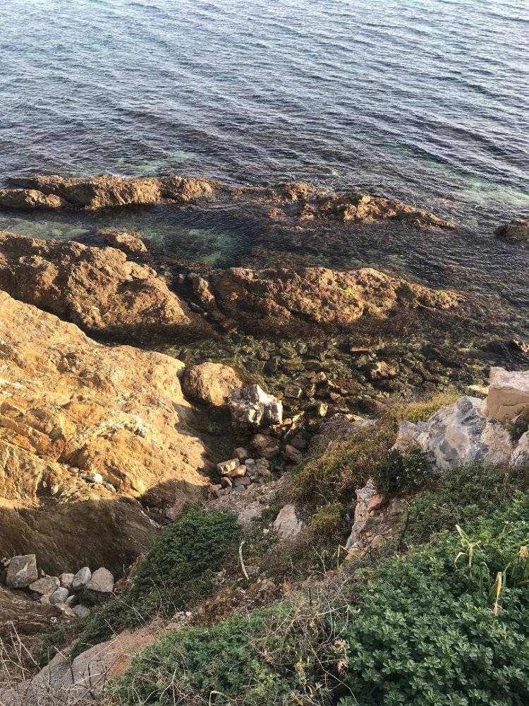 Mer